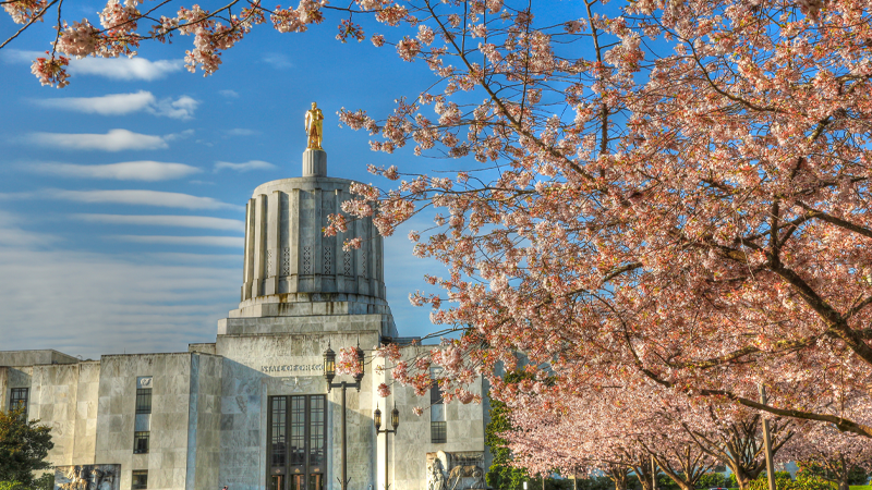 Office of Minority, Women, and Emerging Small Business