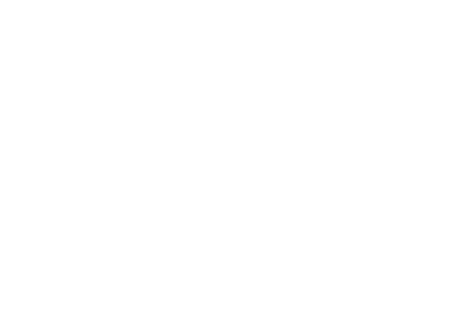 Building Codes Division Logo Reversed