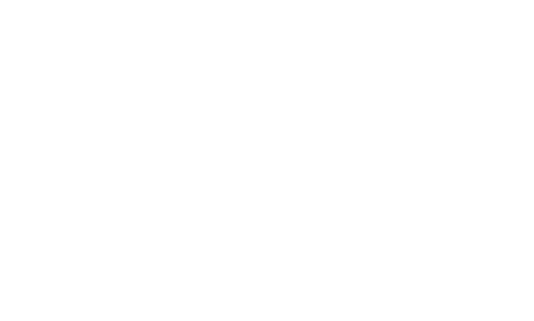 Building Codes Division Spanish Logo Reversed