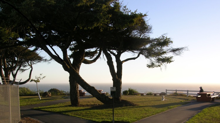 Oregon beach