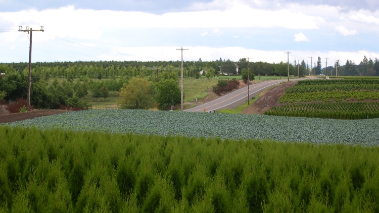 Land Use Planning Programs