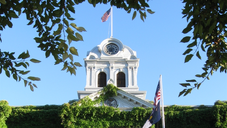 Planners and Local Governments