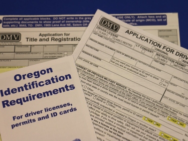Picture of various DMV forms