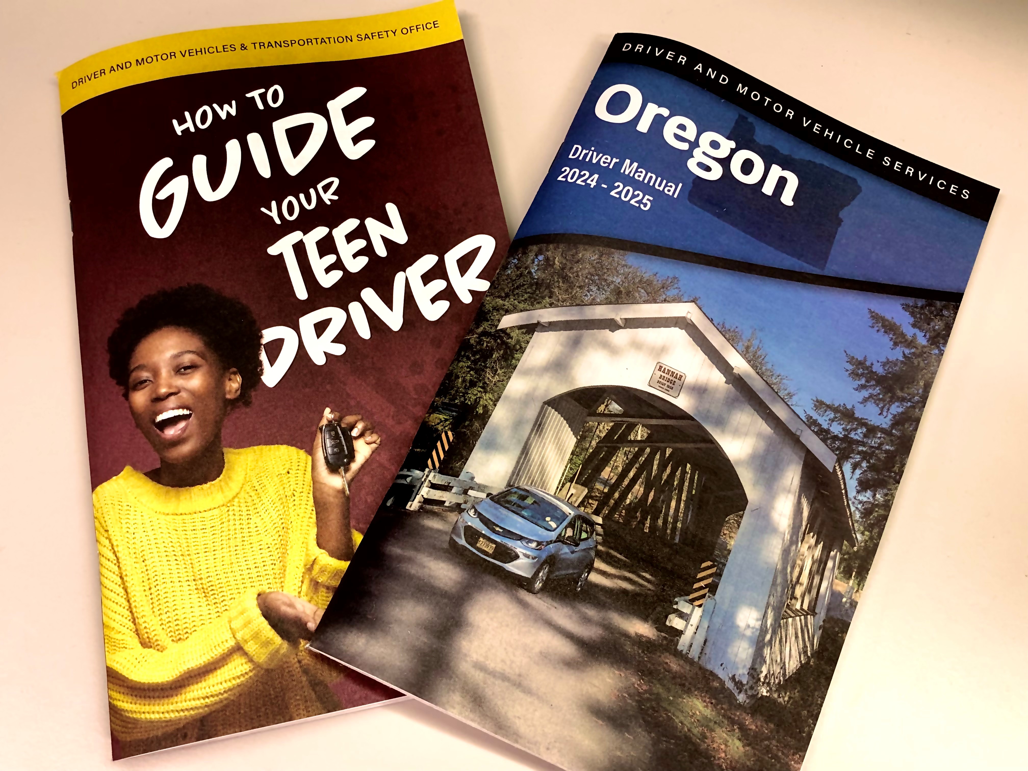 Picture of DMV Manuals