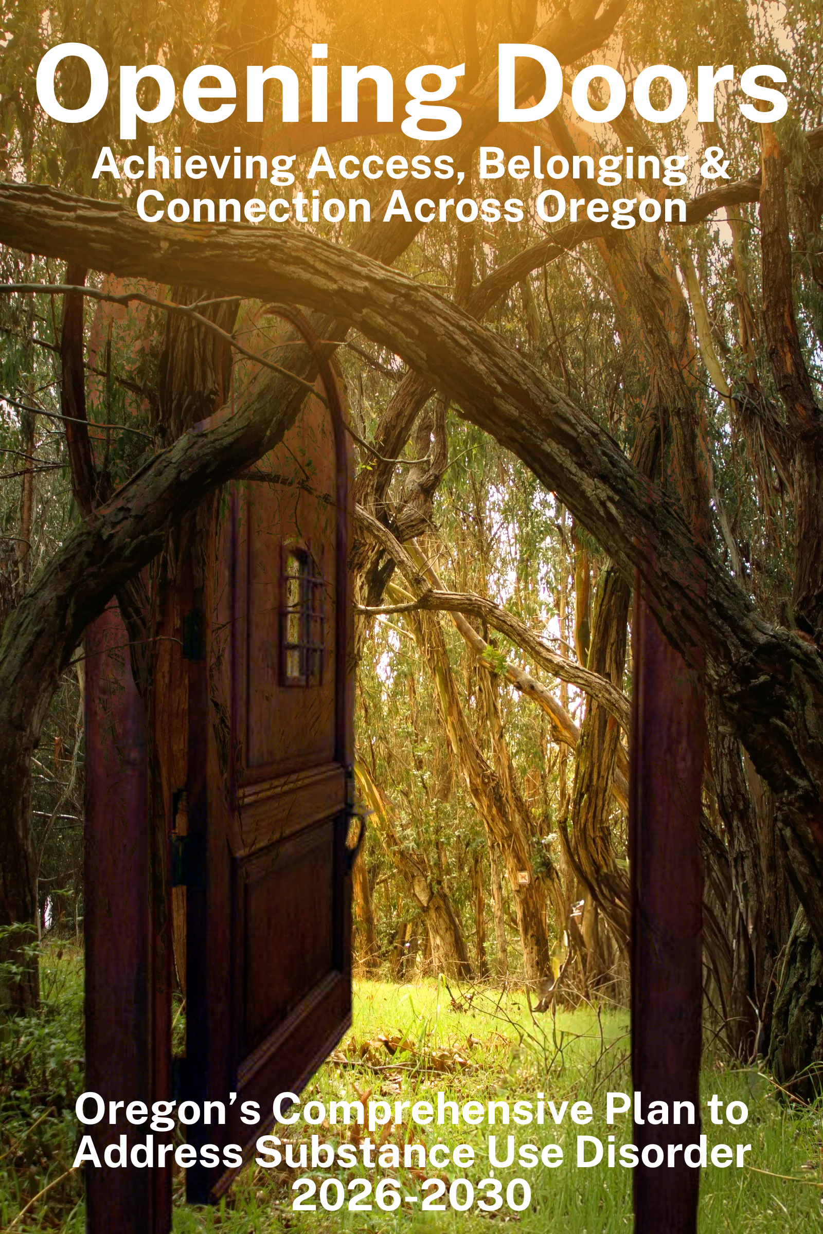 Opening doors to access, belonging and connection.png