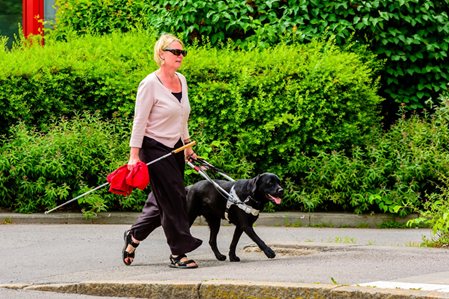 Woman with a white cane and guide dog walking outdoors.