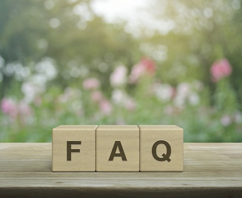 Alphabet blocks spell FAQ.