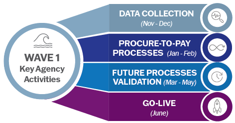 info grphic showing the key agency activities in Wave 1