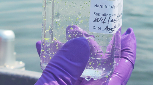 water monitoring