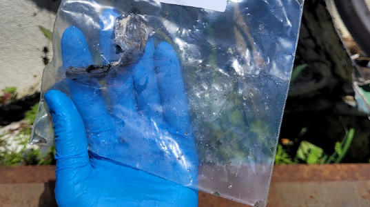 asbestos sample