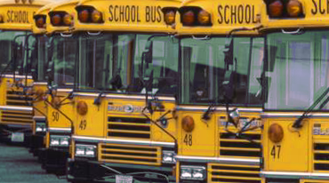 school buses