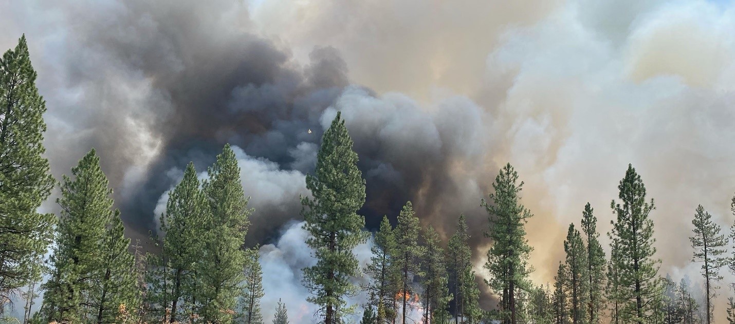 wildfires1.jpg