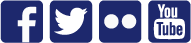 Social media icons