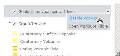 disable popups option
