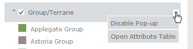map layer window options