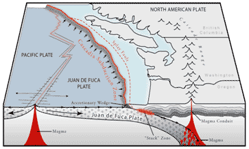 Cascadia subduction zone
