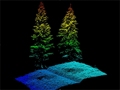 landslide revealed by lidar