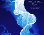 Lidar Maps and Art