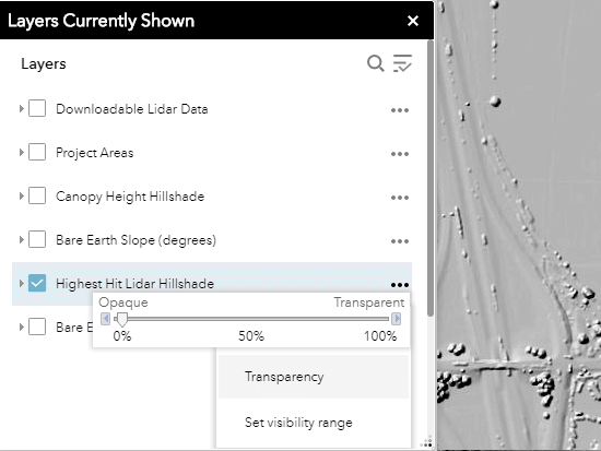 transparency option