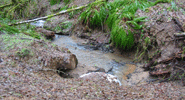 Water Quality