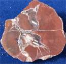 example image