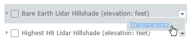 map layer window options