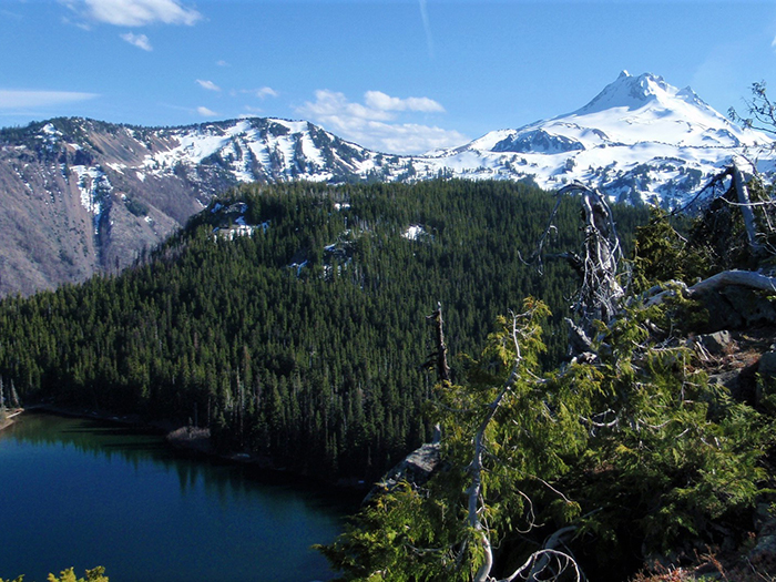 Snow covered mountain with trees and lake in front of it