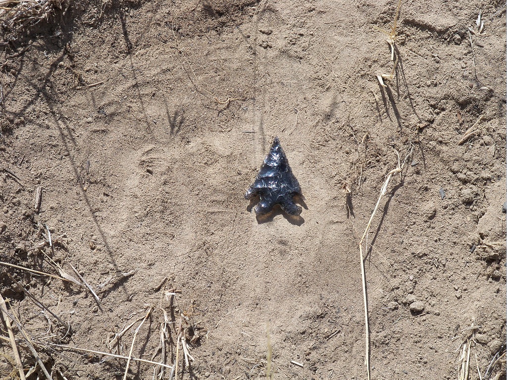 Arrowhead lays on ground