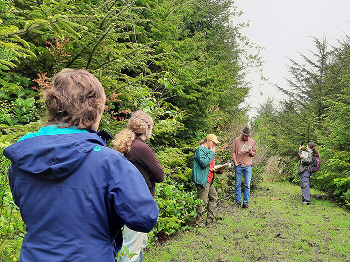Two people look onward at group of people beside trees.