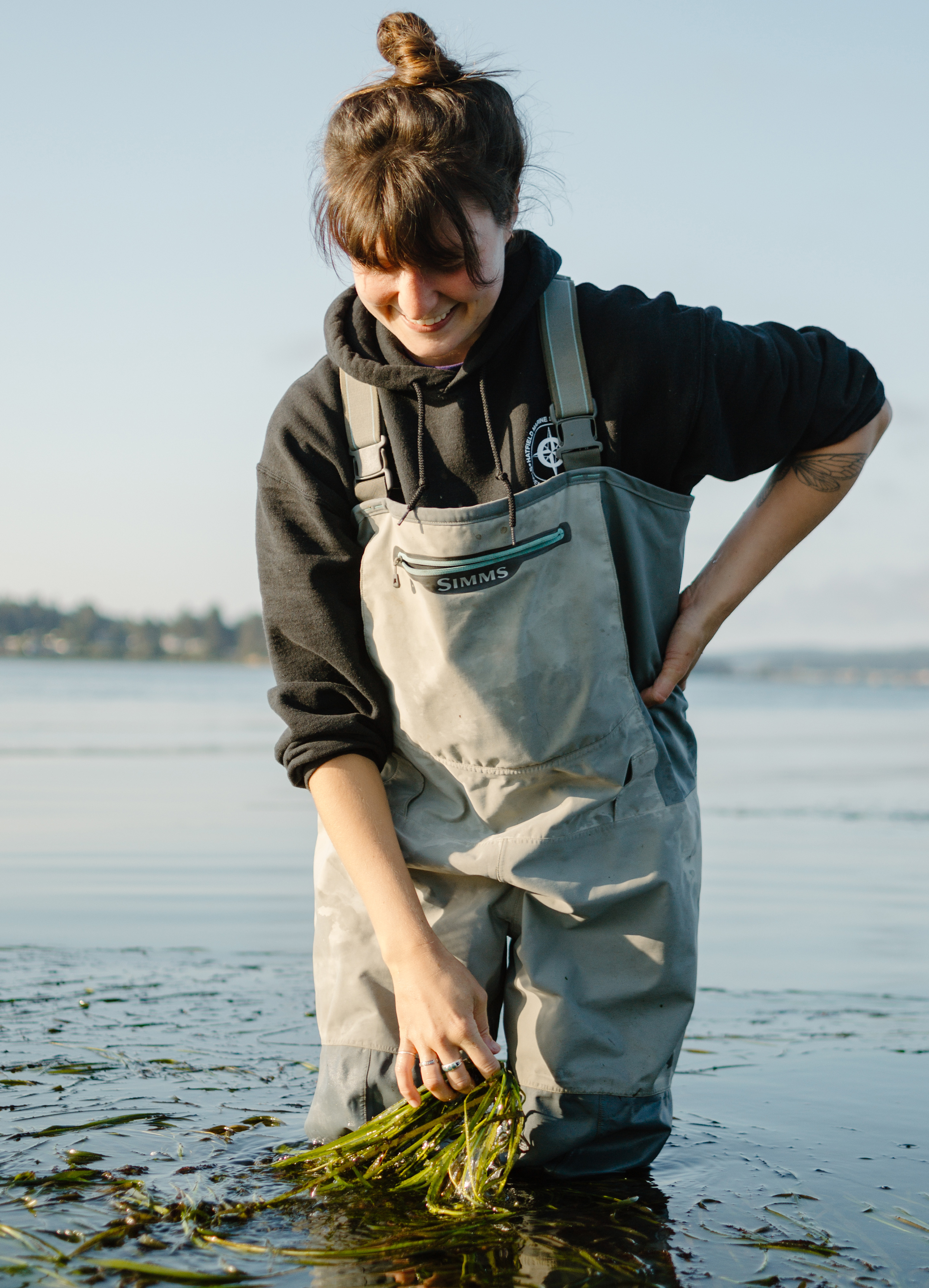 Person kneeling on mud flat holding green eelgrass plant.