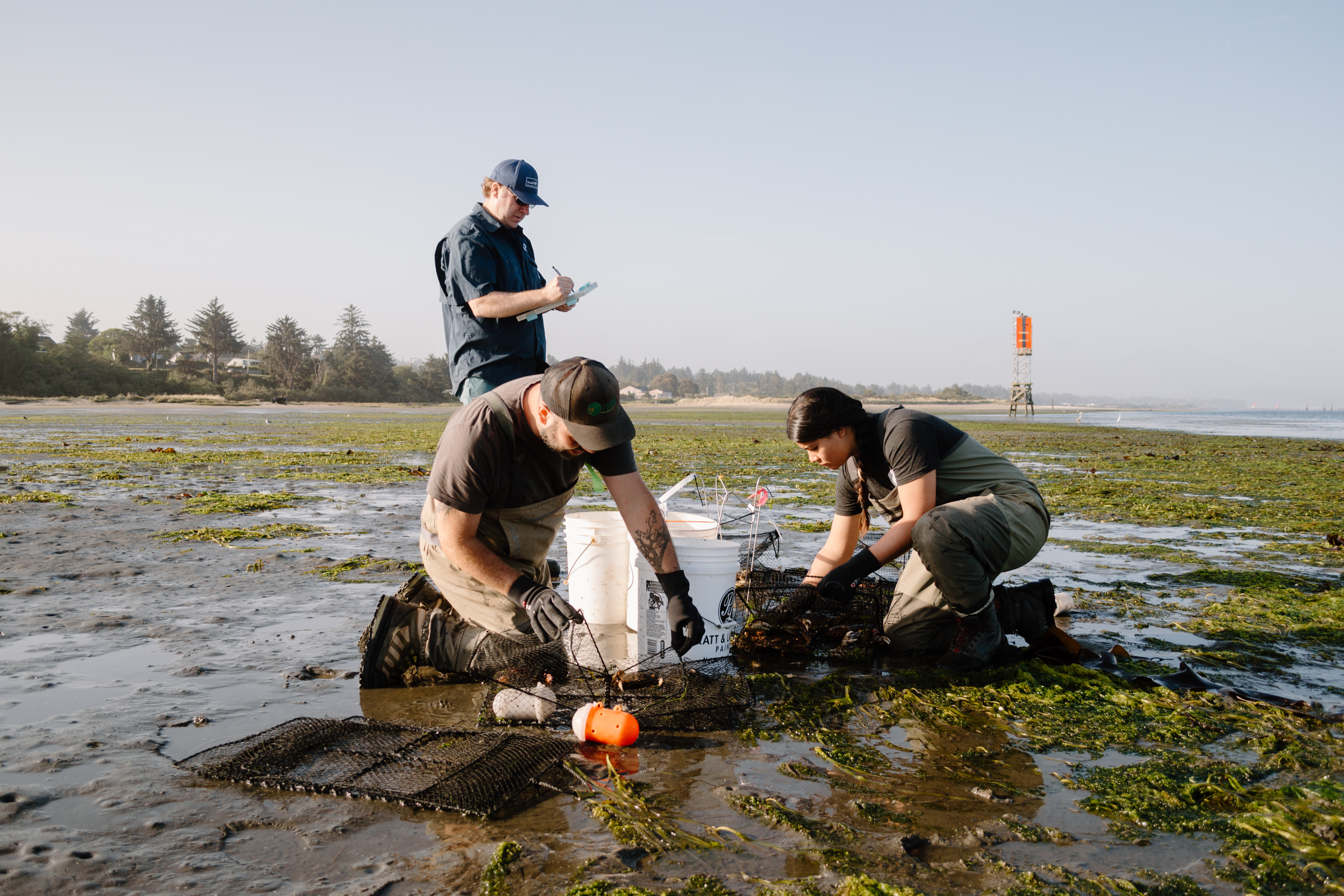 Researchers outside near water look down at clipboard and crab trap