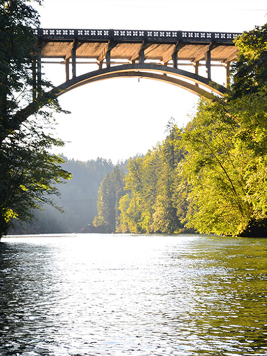 Bridge crossing over water with trees reflecting in water.