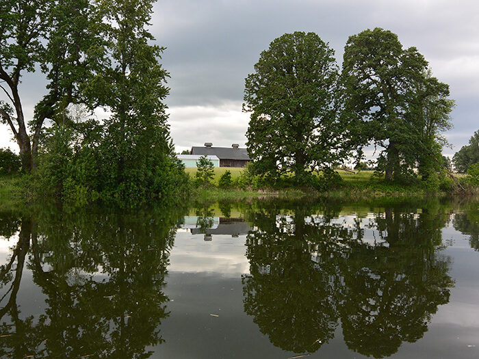 Trees reflecting in waterway.