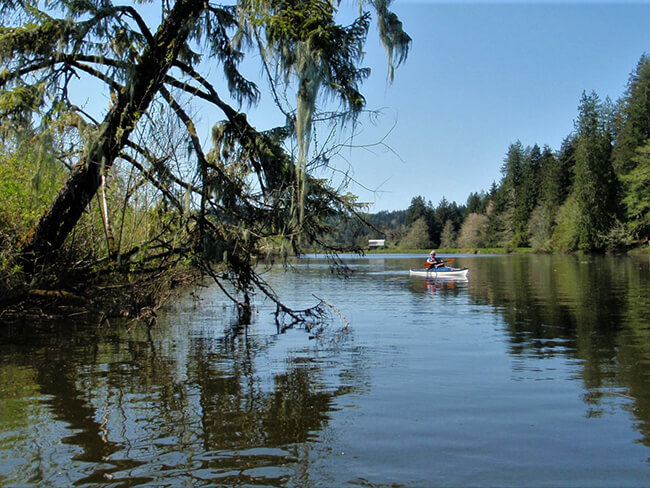 Calm river with kayaker and tree in foreground.