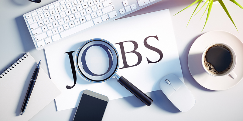 Morning Job Search