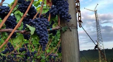 Energy in Oregon