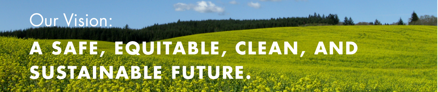 Safe equitable clean sustainable future.png