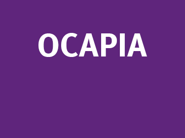 Purple color block