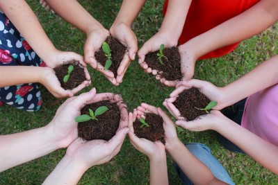 hands with soil and seedlings