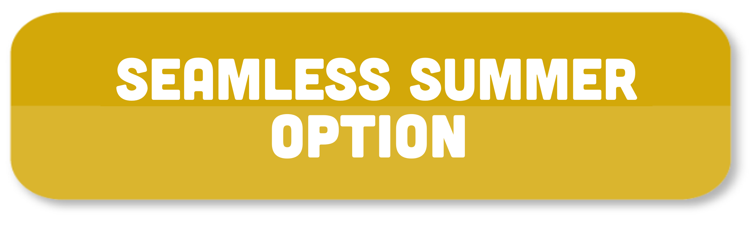 Seamless Summer Option