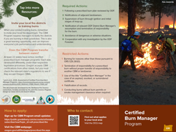 Brochure cover art