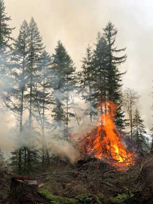 Pile of slash burning
