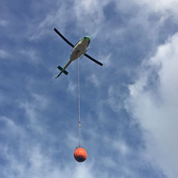 Photo of plane on Sevenmile Hill Fire