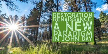 Restoration renaissance cover image