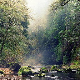 Stream photo