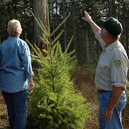 Helping private landowners photo