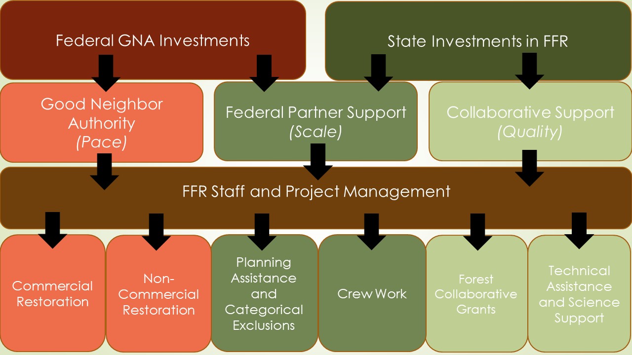 Flow chart of program structure and components