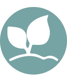 icon leaf
