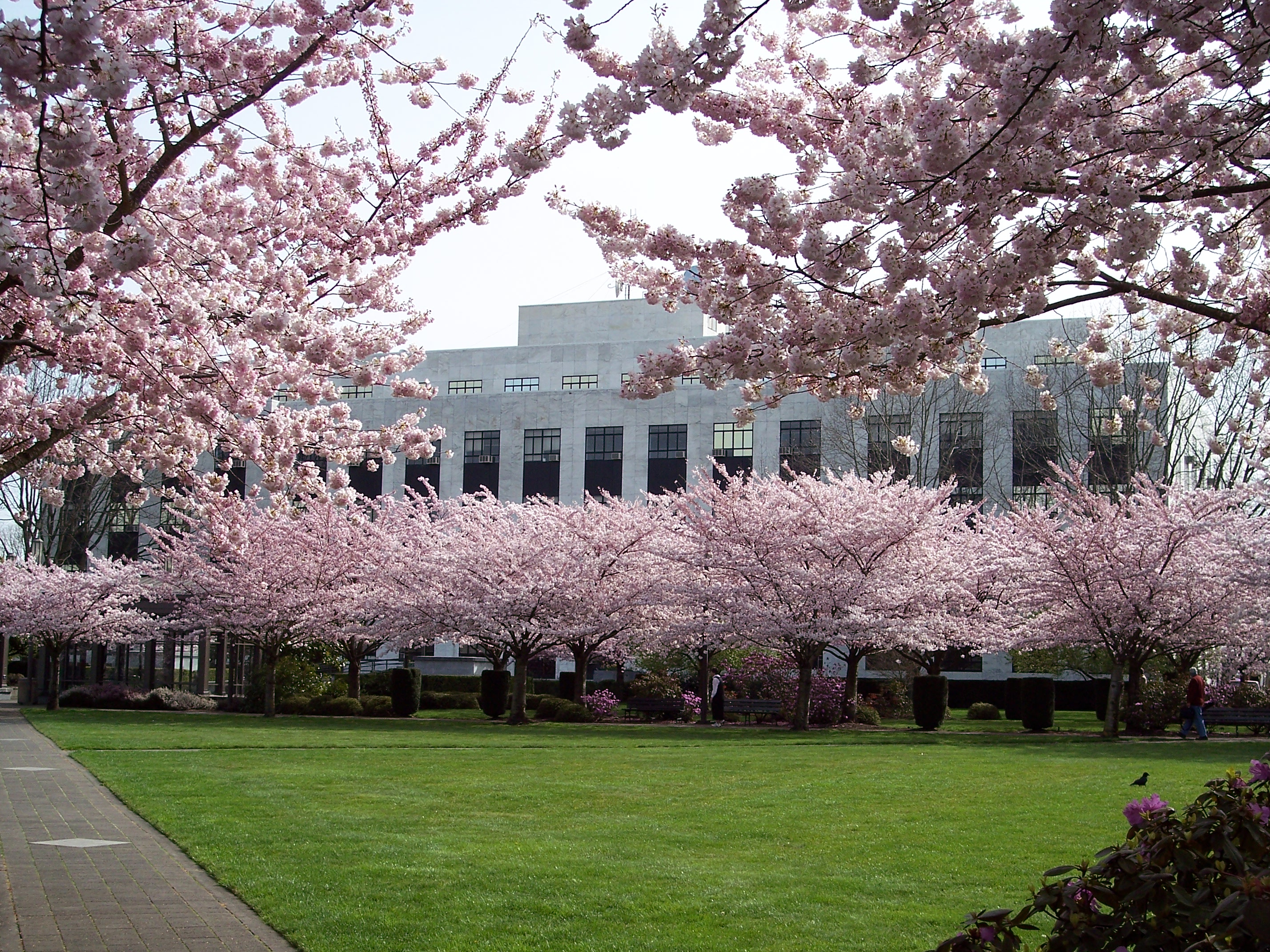 ODOT Building
