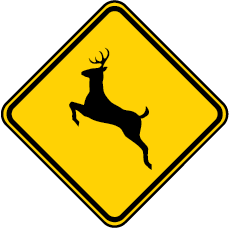 deer crossing sign
